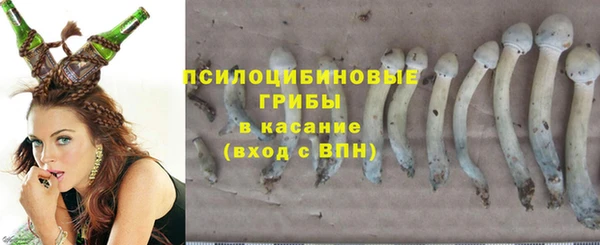 эйфоретик Тында