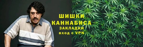 прущая мука Михайлов