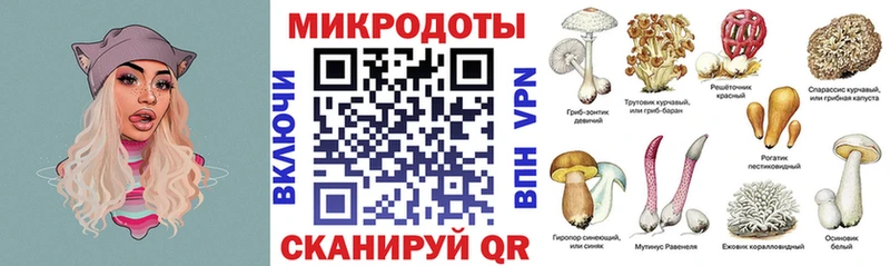 Псилоцибиновые грибы Magic Shrooms  что такое   Нестеров 